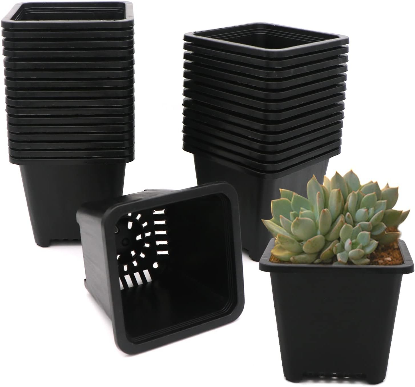 61LT3l53fhL._AC_SL1500_