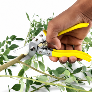 HAND PRUNER MR GOLF
