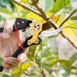 HAND PRUNER 21MM GOLDEN BLADE